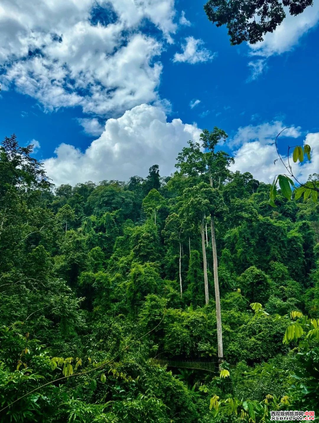 图片关键词 图片关键词