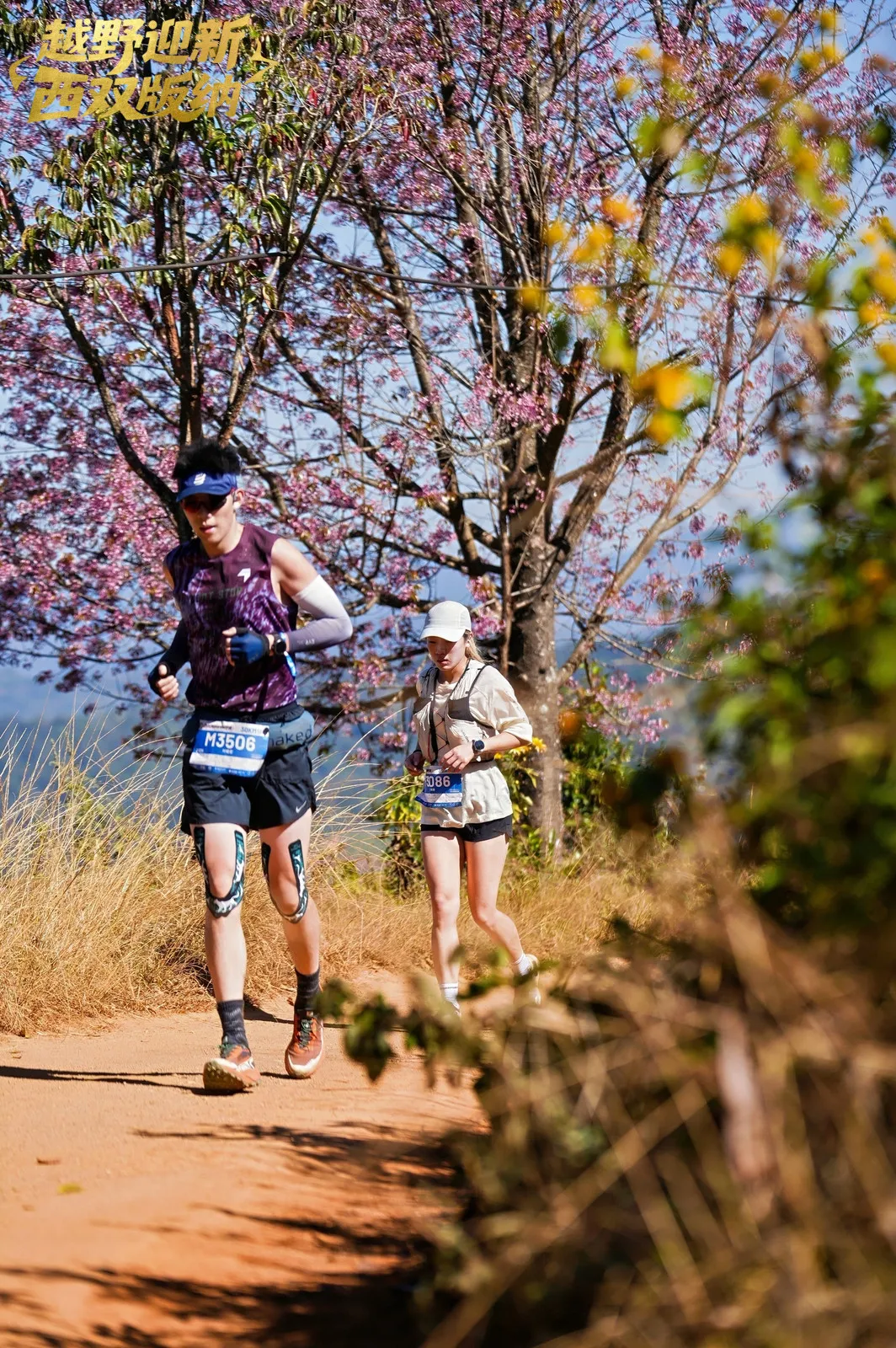 图片关键词 图片