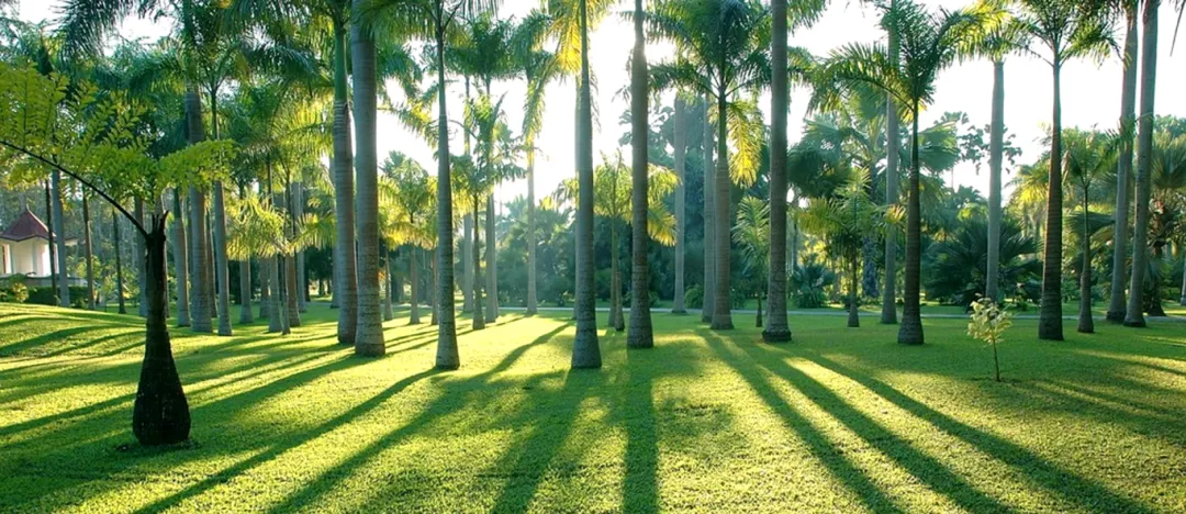 图片关键词 图片