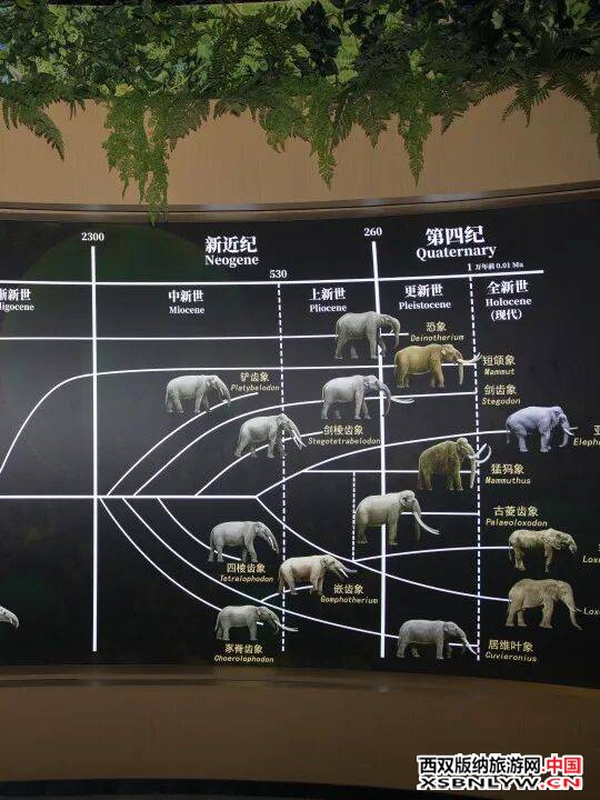 图片关键词 图片关键词