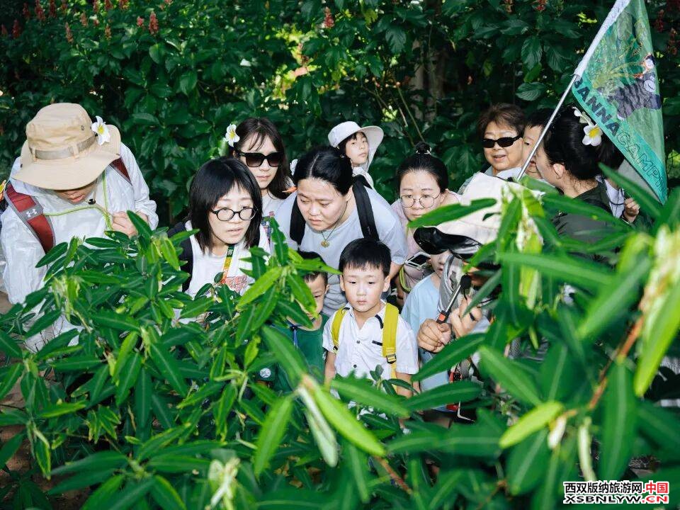 图片关键词 图片关键词