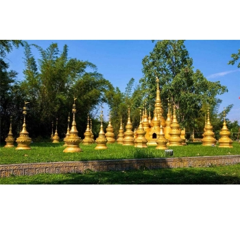 西双版纳大益庄园