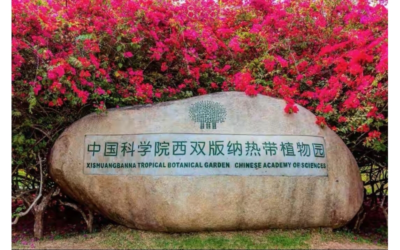 云南西双版纳热带花卉园景区