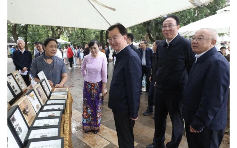 云南省委书记王宁赴西双版纳，与外省游客交流感受