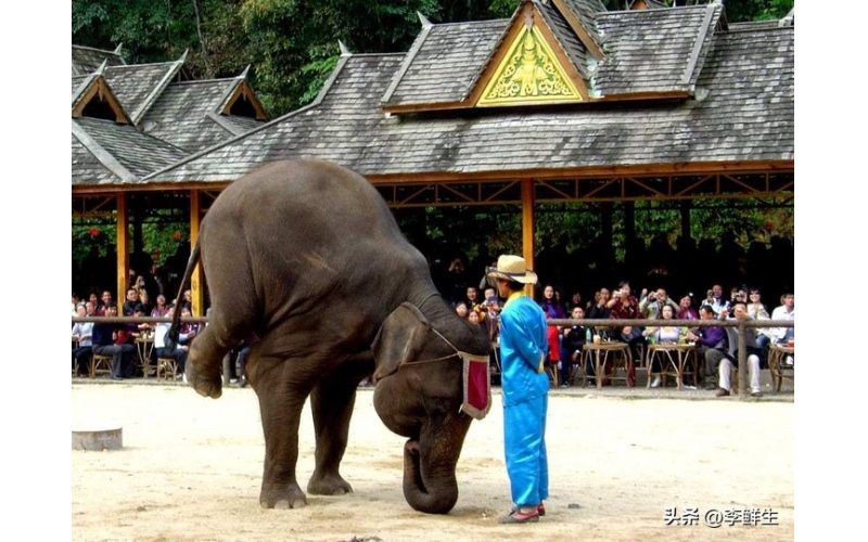 谁懂啊！西双版纳才是藏在云南的&ldquo;神仙秘境&rdquo;，去过就不想走✨